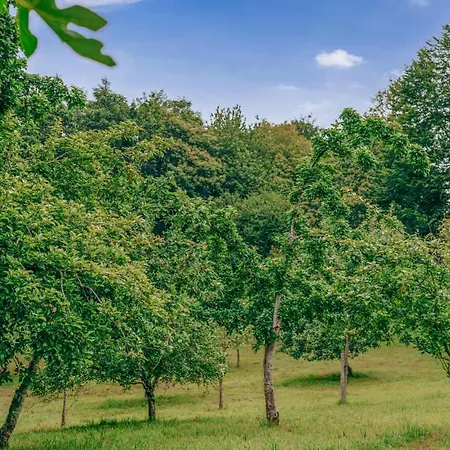 1 Bedroom Lovely In Апартаменты Конкарно